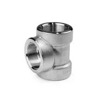ACI-2 TE 90 FEMEA 316 11/4 BSP