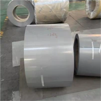Thép điện mạ kẽm cán nguội B50A310